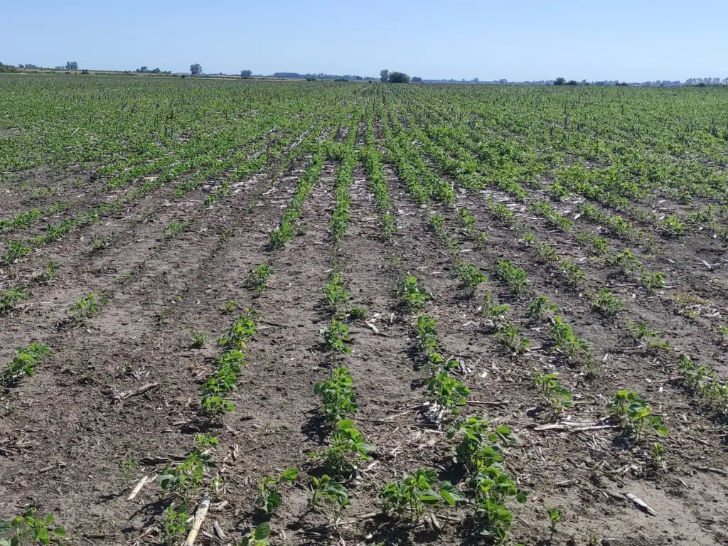 Campo Venta Agr Cola Ha Ruta Gualeguaych Gualeguaychu