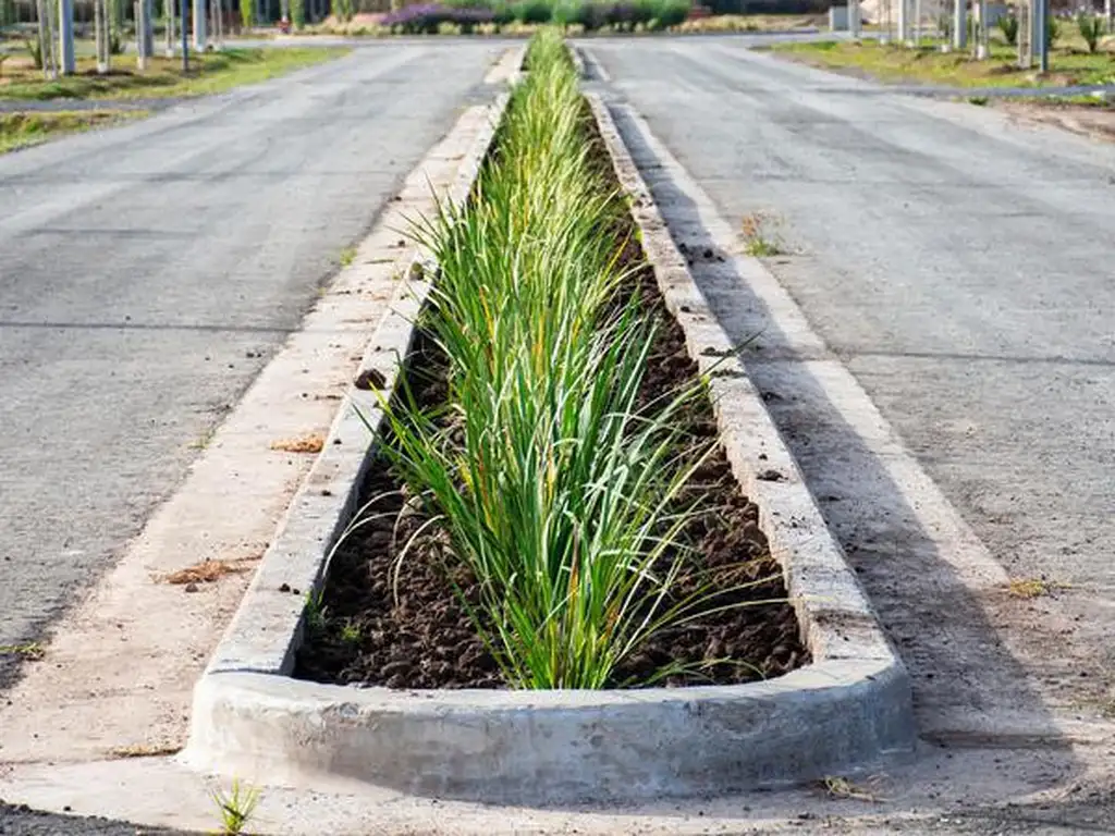 Terreno en  Villa Amelia, Ecovida