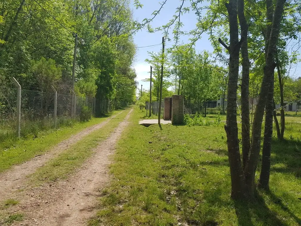 Lotes FINANCIADOS en "IKUT Lotes al Bosque"