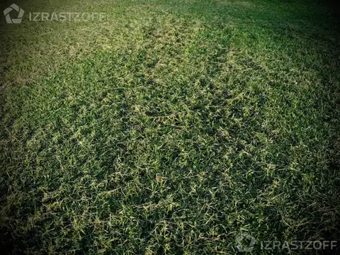 Terreno - Pilara - Foto 0