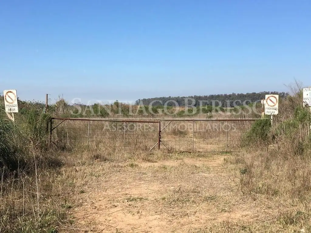 Terreno Campo  en Venta en Campana, G.B.A. Zona Norte, Argentina