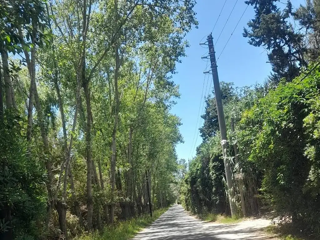 Terreno en  Berisso