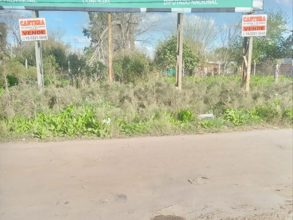 FRACCIÓN SOBRE COLECTORA GAONA LADO SUR (ZONA INDUSTRIAL)