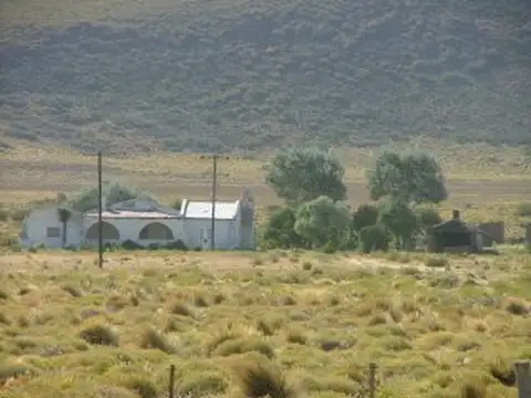 PROPIEDADES RURALES - MIXTO - ÑORQUÍN