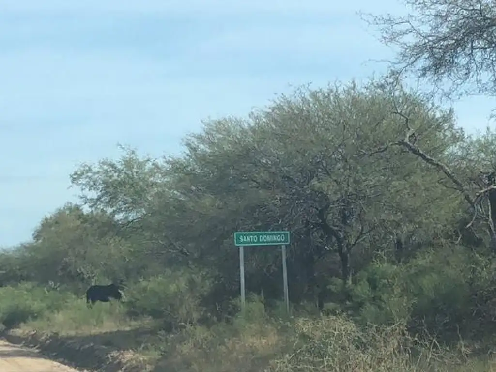 CAMPO 386 HECTAREAS GANADERO-AGRICOLA EN VENTA, LUGONES !