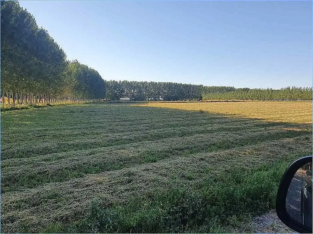 Campo en Tratayen-Almendras-alfalfa-equipamiento