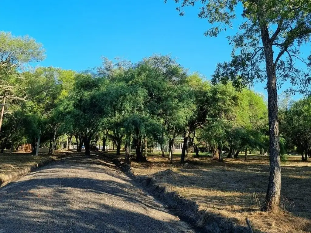 Terreno de 3962 m2 en bosque encantado