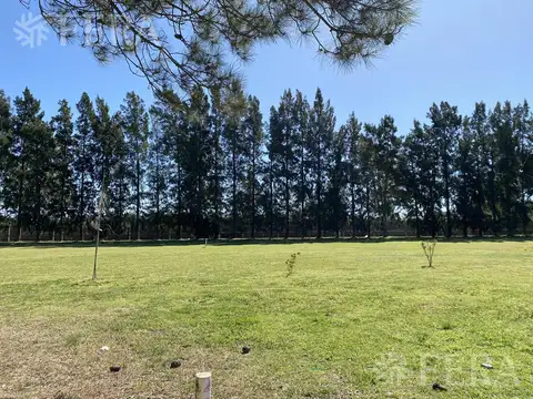 Venta lote 344 en Club Miralagos 2 (30236) - Foto 0