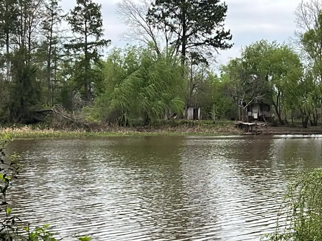 Casa a refaccionar frente al rio con campo de 10 hectareas Villa Paranacito