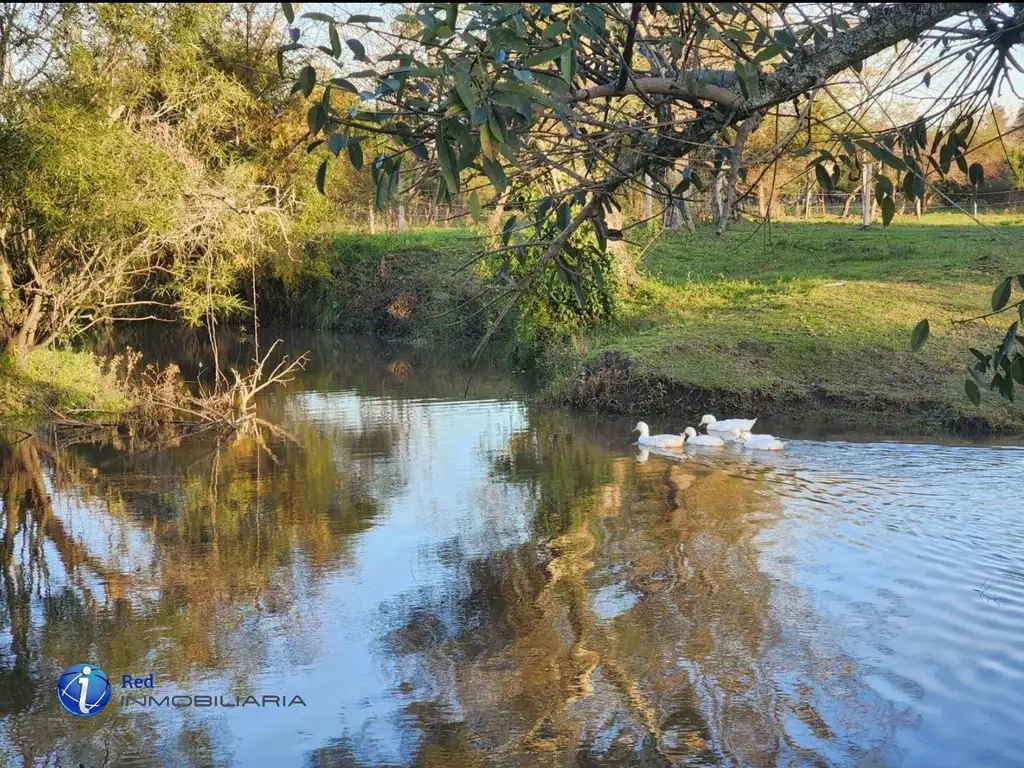 LOTE CAMINO DE LA COSTA