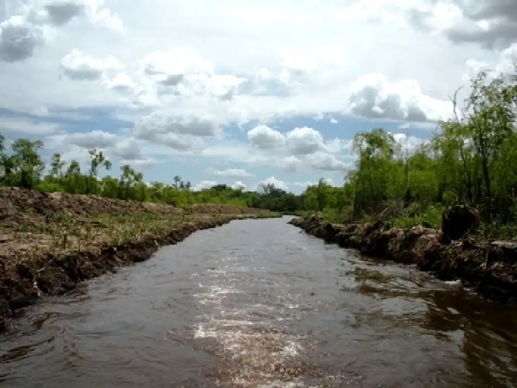 Venta 412 Hectarias en el Delta del Paraná