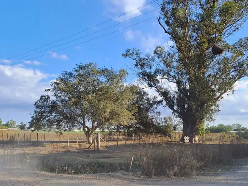 Campo en  venta en Los Hornos, La Plata