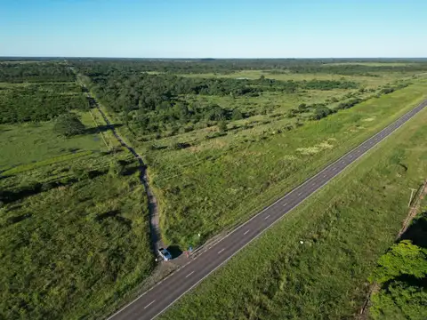 Campo en venta de 51 has. ubicado en La Verde