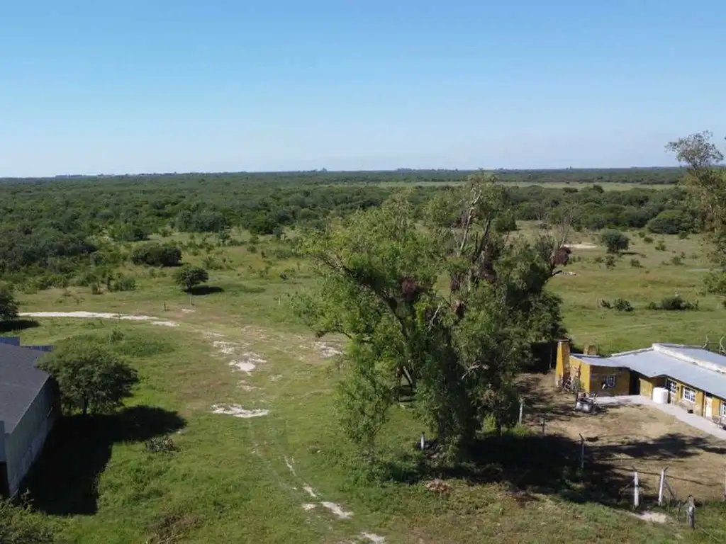 VENTA / CAMPO GANADERO / 407 HA / HUANQUEROS