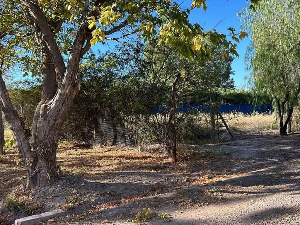 Lote en bario los cerezos