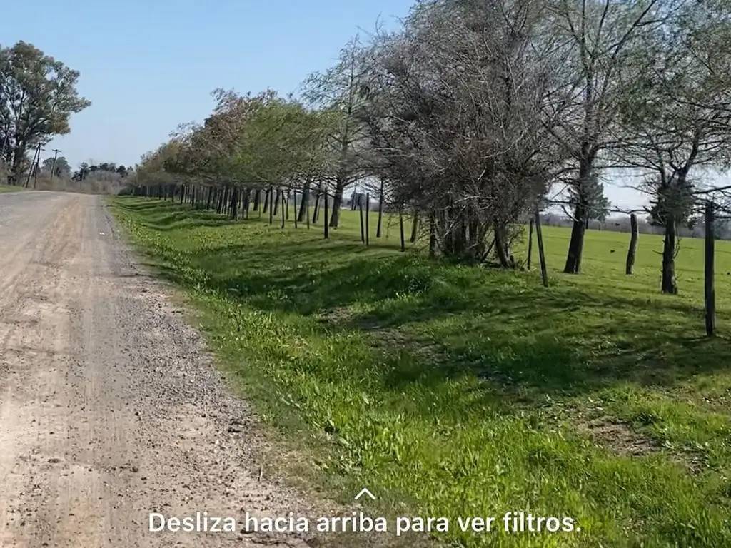 Campo en Venta, 14 Hectáreas, en Zarate, Escalada, G.B.A. Norte