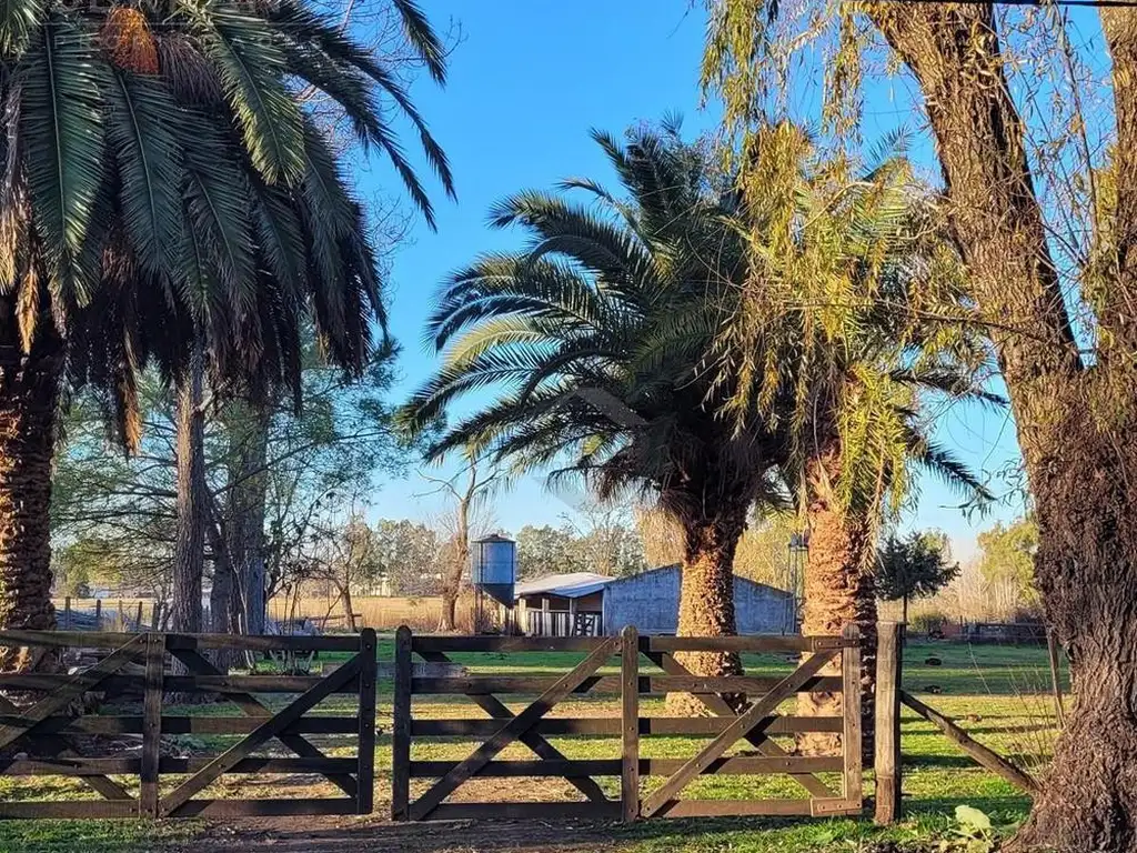 Terreno Campo  en Venta en Parada Robles, Exaltación de la Cruz