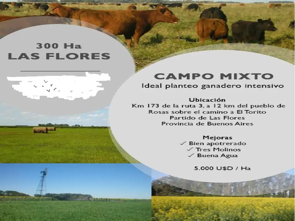 PROPIEDADES RURALES - MIXTO - LAS FLORES