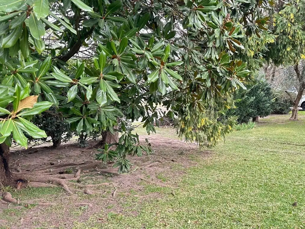 Terreno  Venta en San Patricio Club de Campo, Francisco Álvarez, Moreno