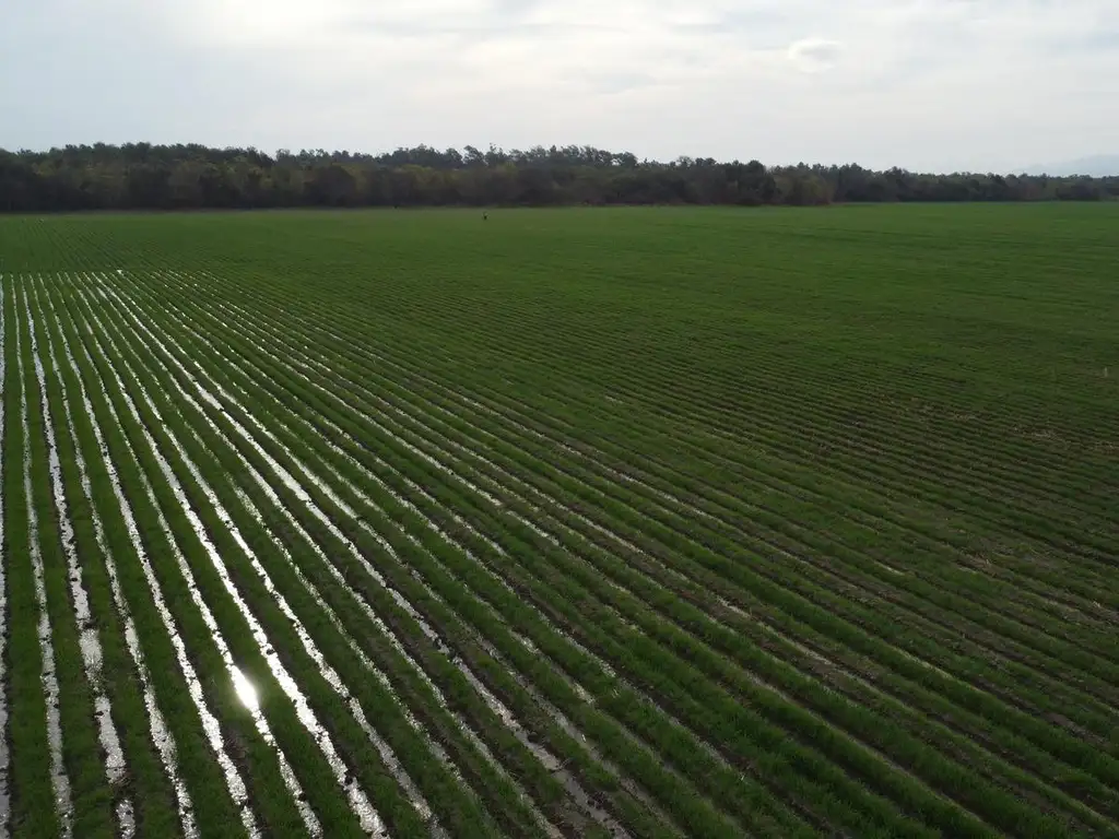 Campo en Venta en Jujuy