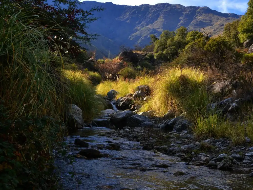 LOTEO EN ARROYO DE LOS PATOS