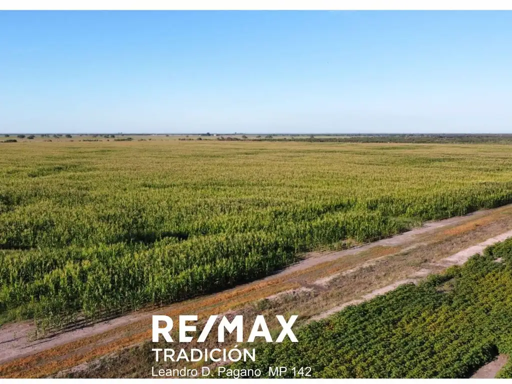 Campo en venta -244ha Cabeza de Tigre, Sta Sylvina