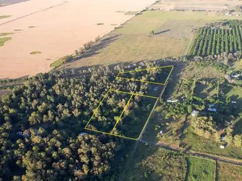 Terrenos arbolados en Azcuenaga