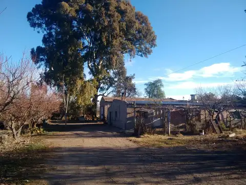 FINCA DE 5 ha en SAN RAFAEL - MENDOZA Posiblidad fraccionamiento!