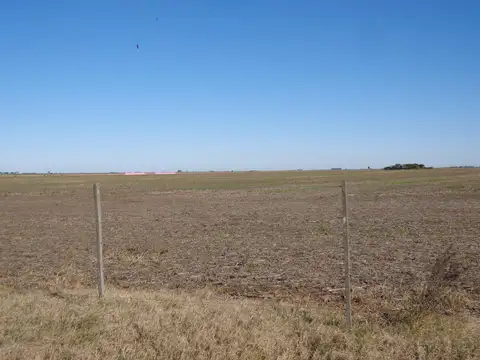 Venta Campo Zona Las Petacas.Explotacion Agricola.Cons