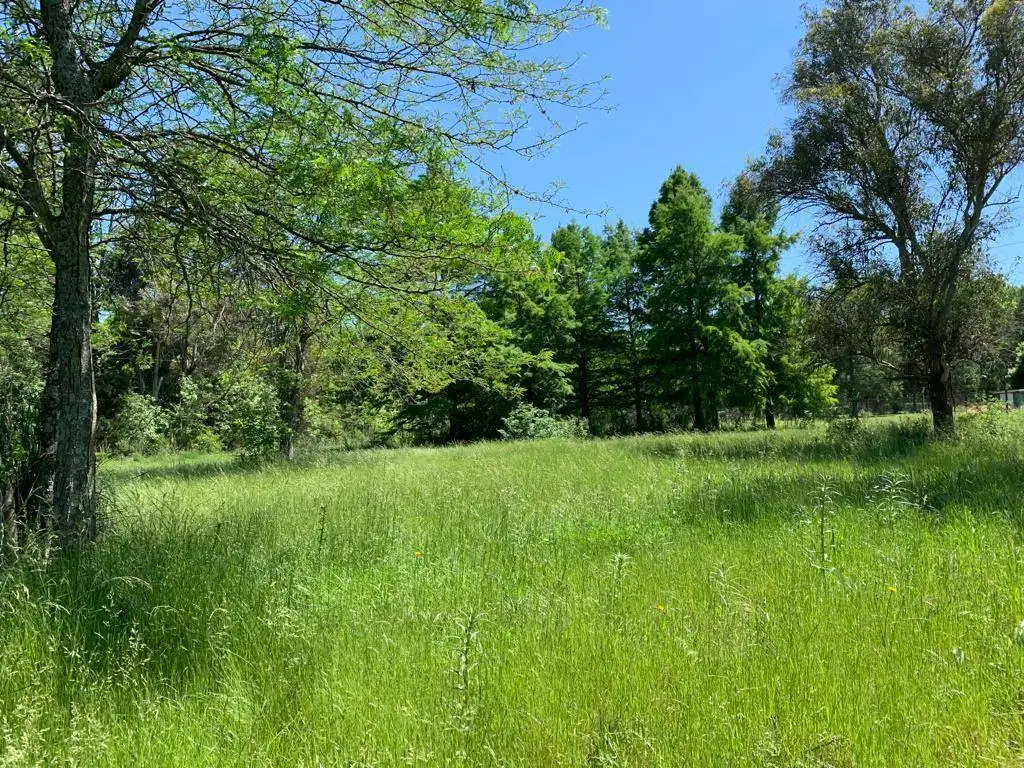 LOTE CENTRALIZADO EN LINDO BARRIO CON HERMOSA ARBOLEDA Y CLU