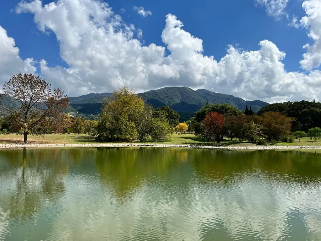 PARQUES DE SAN LORENZO