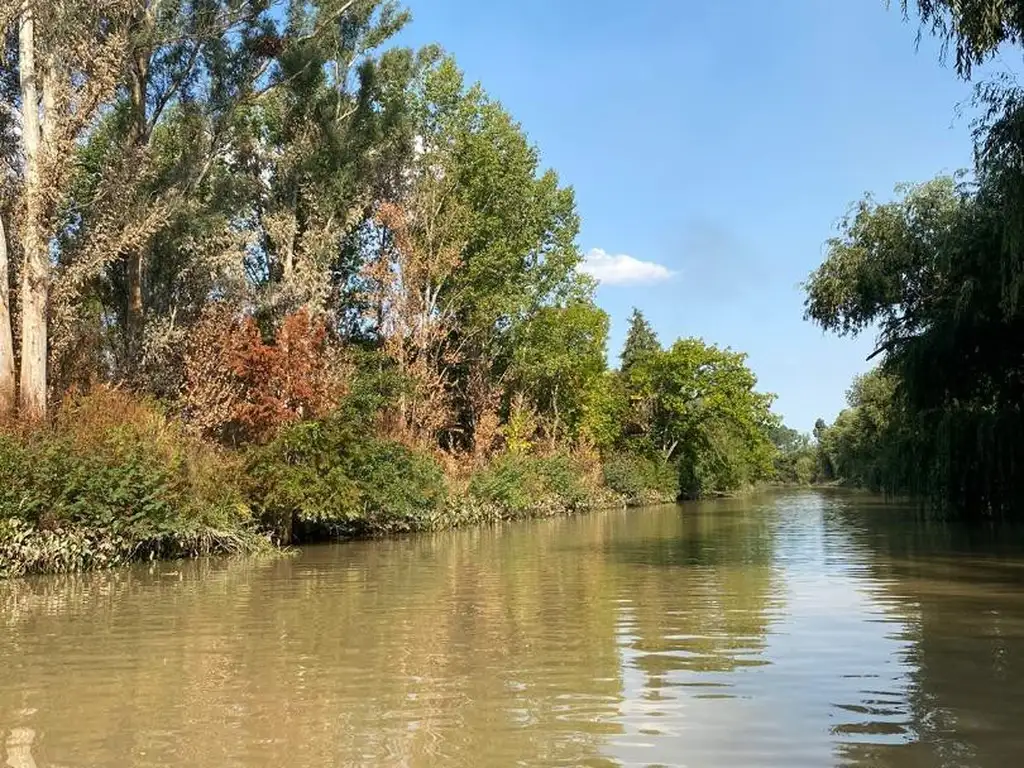 Isla sobre el Rio Parana de las Palmas