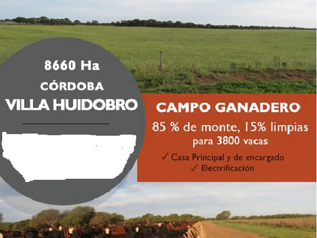 PROPIEDADES RURALES - GANADERA - VILLA HUIDOBRO - CAÑADA VERDE