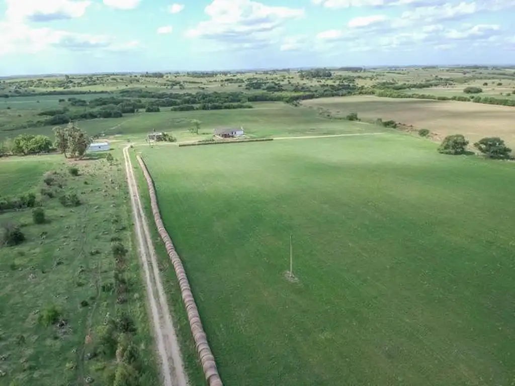 PROPIEDADES RURALES - AGRICOLA - ZONAS RURALES