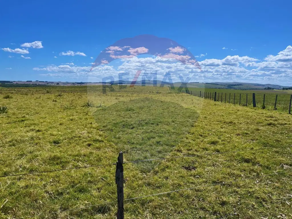 Campo en venta Rocha cerca de 19 de Abril - 33 has