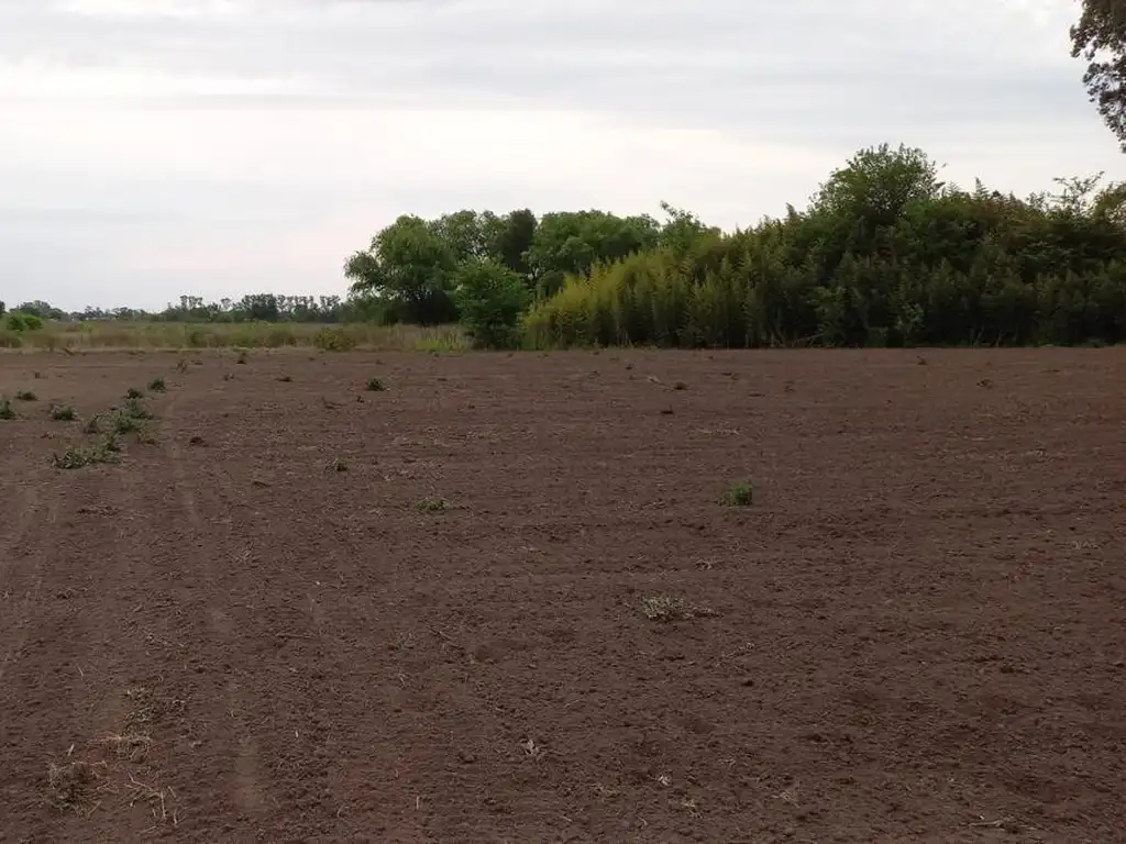 Venta Terreno en Cucha Cucha (Chacabuco)