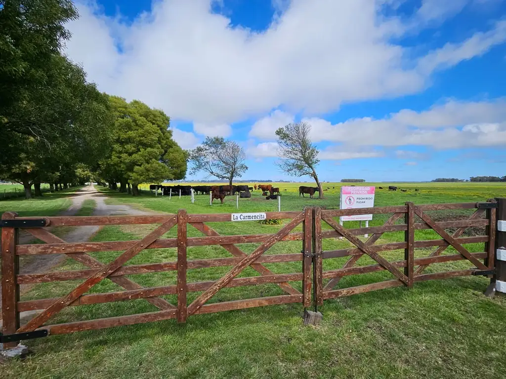 VENTA DE CAMPO CON AMPLIO POTENCIAL TURISTICO