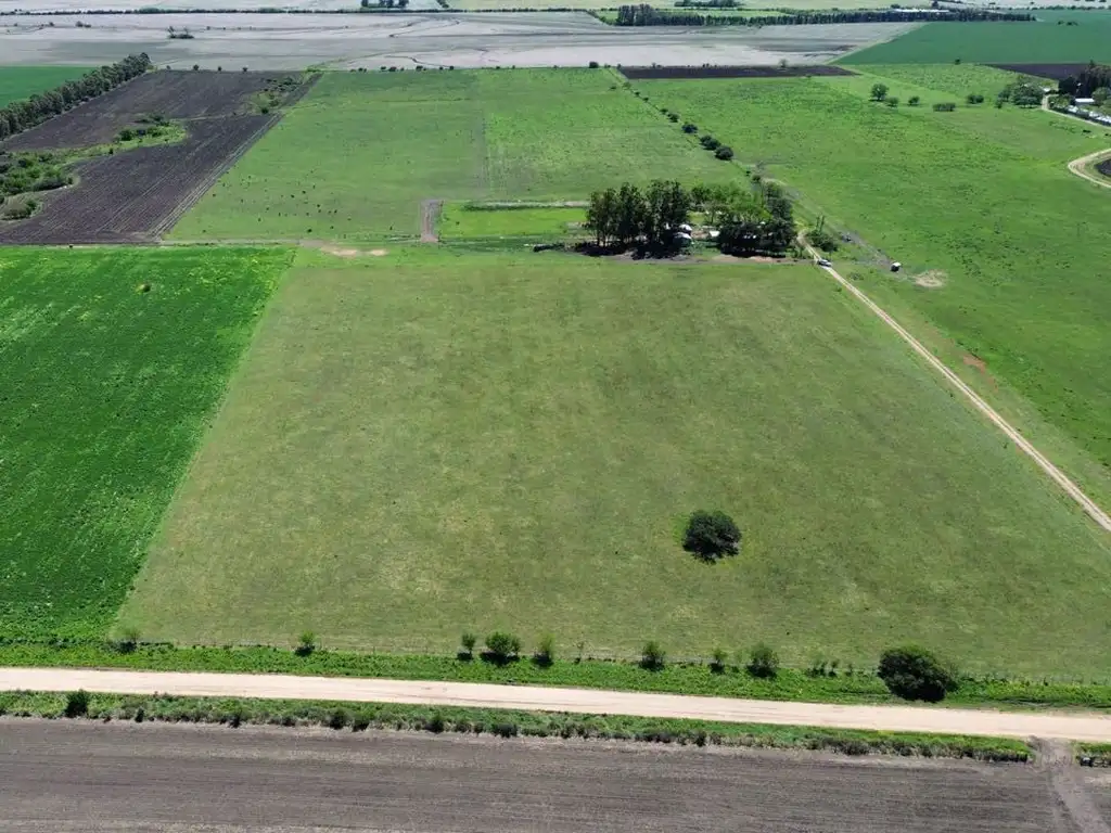 Vendo Campo 46 Has en Colonia Los Ceibos Entre Ríos