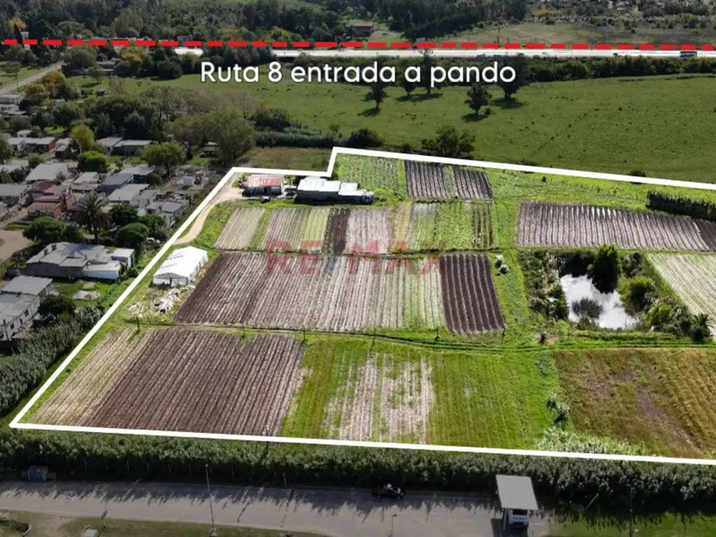 Venta Campo Chacra terreno 4 hectáreas  Pando