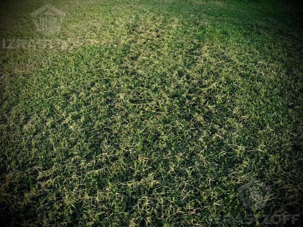 Terreno a la laguna en Puertos, Barrio Marinas