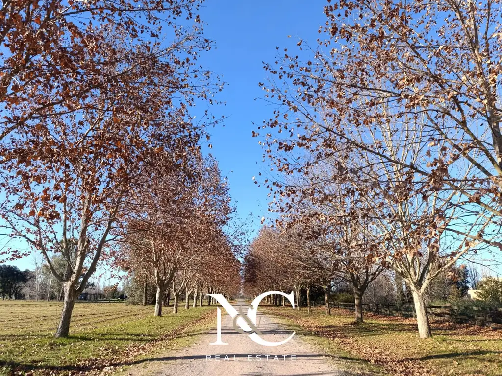 Terreno Chacra en venta en Estancia Las Lilas, Luján