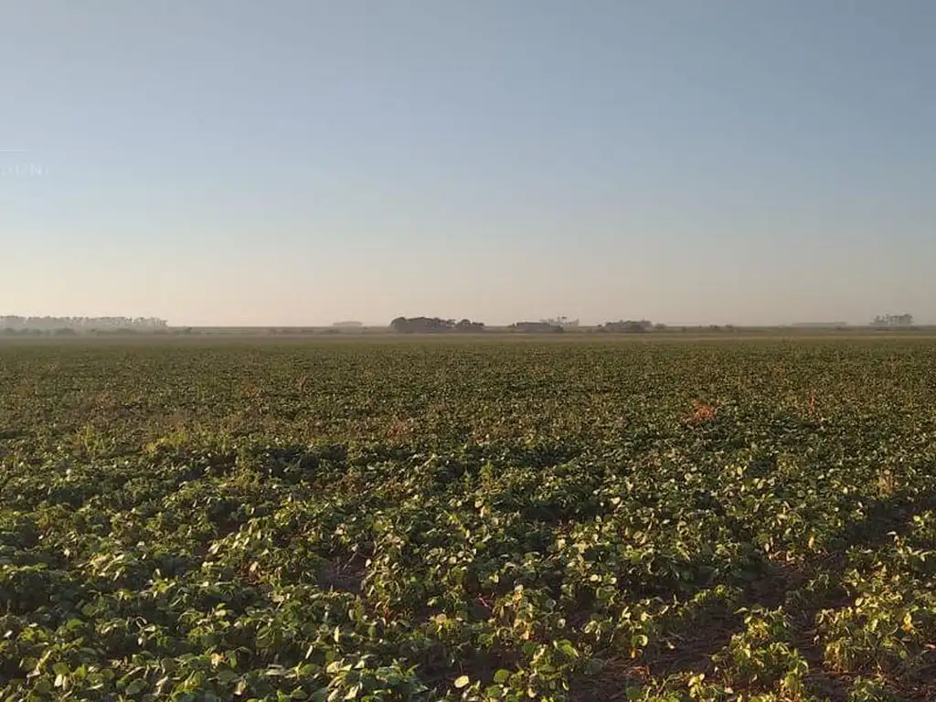 Campo en Clason - agricola