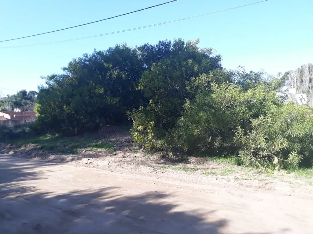 CALLE 39 Y NECOCHEA