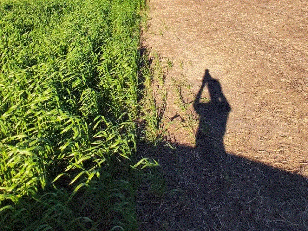 Campo agrícola en Larroque (sólo interesados directos)