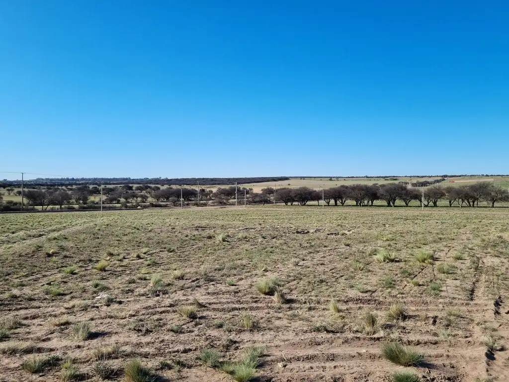 Lote de 1 hectárea en loteo "El Bagual" - Toay