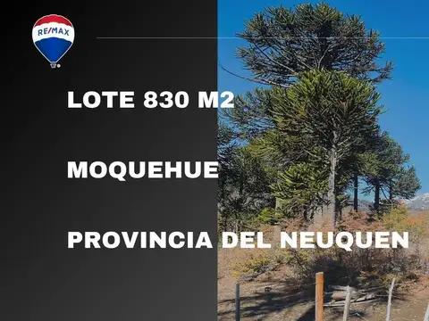 VENTA LOTE MOQUEHUE, ALUMINE