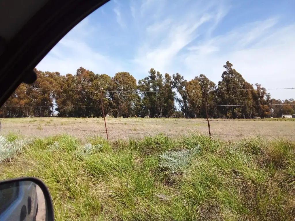 Tres Arroyos: 1 Hectarea zona Parque Cabañas