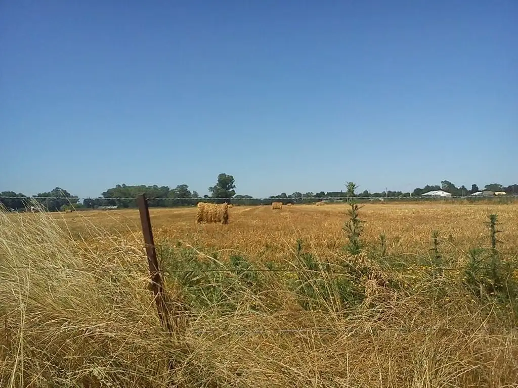 Campo 15 hectáreas a metros de ruta 2 y del peaje de Samborombón.  Ideal para lotear