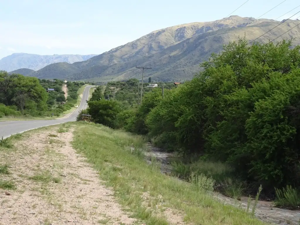 Campo Sobre Ruta 1 en Cortaderas (Loteo Aprobado)