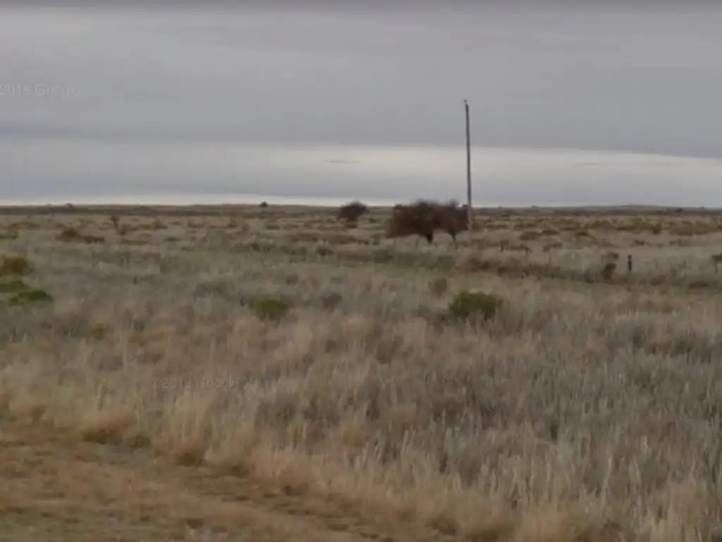 Vendo Campo ganadero de 7000ha en Chalileo, La Pampa